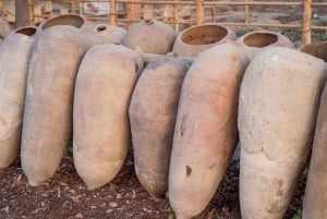 From Lima: Ballestas Islands, Huacachina, and Vineyard Tour