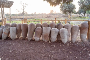 From Lima: Ballestas Islands, Huacachina, and Vineyard Tour