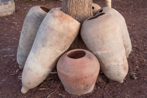 From Lima: Ballestas Islands, Huacachina, and Vineyard Tour