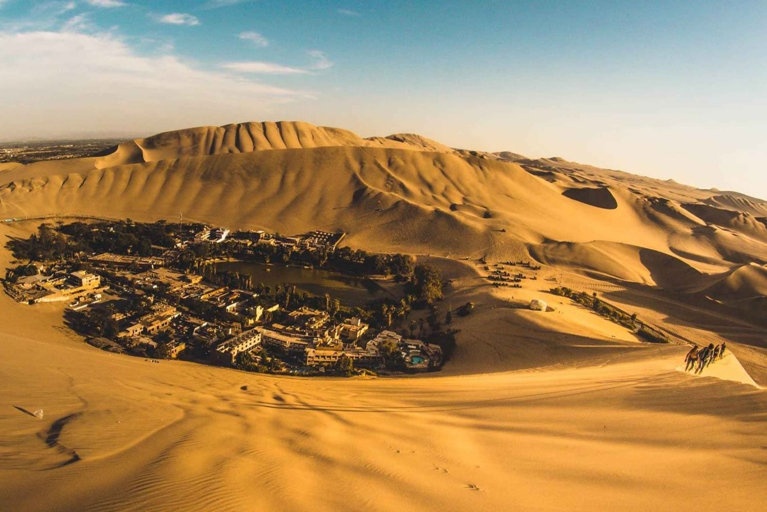 Depuis Lima : 1 journée Îles Ballestas + Oasis de Huacachina