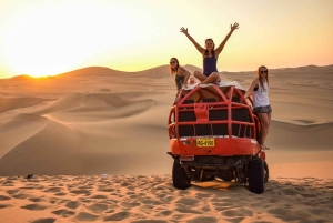 Depuis Lima : 1 journée Îles Ballestas + Oasis de Huacachina