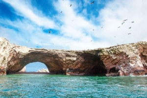 Depuis Lima : 1 journée Îles Ballestas + Oasis de Huacachina