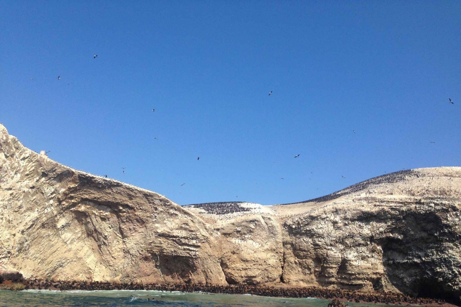 From Lima: Ballestas Islands, Huacachina Oasis & Winery Tour