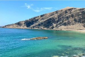 From Lima: Ballestas Islands, Nazca Lines, & Huacachina Tour