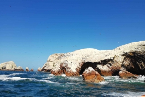 From Lima: Ballestas Islands & Nazca Lines with Meals