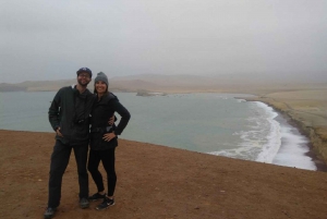 From Lima: Ballestas Islands, Paracas Reserve & Museum Tour