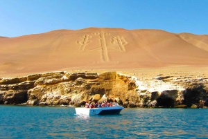 From Lima: Ballestas Islands, Paracas Reserve & Museum Tour