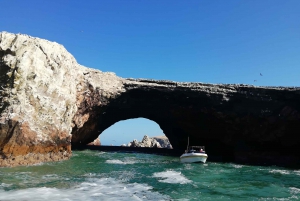 From Lima: Ballestas Islands, Paracas Reserve & Museum Tour