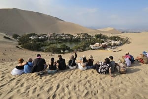 Från Lima: Ballestasöarna, vingårdar och Huacachina-oasen med buggy (2 dagar)