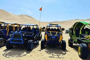 Från Lima: Ballestasöarna, vingårdar och Huacachina-oasen med buggy (2 dagar)