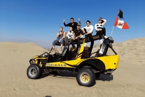 Från Lima: Ballestasöarna, vingårdar och Huacachina-oasen med buggy (2 dagar)