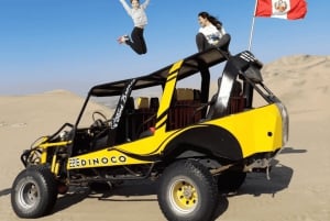Från Lima: Ballestasöarna, vingårdar och Huacachina-oasen med buggy (2 dagar)