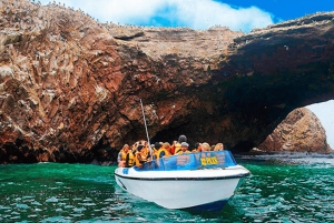 From Lima: Ballestas Islands, vineyards, and Huacachina Oasis by buggy (2 days)