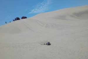 From Lima: Ballestas Islands, Winery & Huacachina Oasis Tour