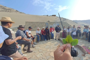 From Lima: Caral Civilization Tour with Desert Trek