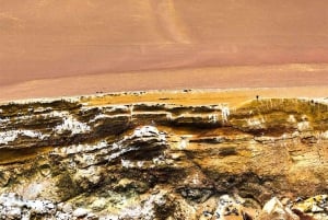 Desde Lima: Excursión de 1 día al Oasis Costa Rica e Islas Ballestas