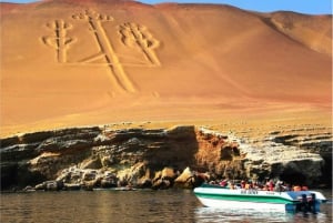From Lima: Day Trip to Paracas and Huacachina