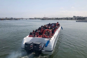 Vanuit Lima: Dagtrip naar Paracas, Ica & Oasis Huacachina