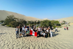 Vanuit Lima: Dagtrip naar Paracas, Ica & Oasis Huacachina