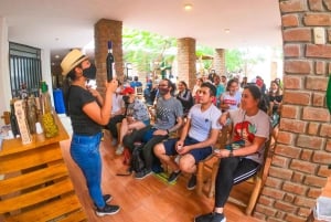 From Lima: Full day Ballestas Islands + Tubing in Huacachina + Sandboarding