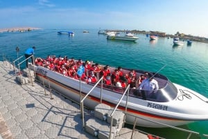 From Lima: Full day Ballestas Islands + Tubing in Huacachina + Sandboarding