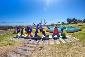 From Lima: Full day Ballestas Islands + Tubing in Huacachina + Sandboarding
