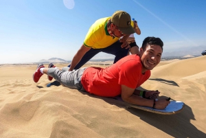 From Lima: Full day Ballestas Islands + Tubing in Huacachina + Sandboarding