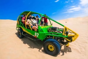 From Lima: Full day Ballestas Islands + Tubing in Huacachina + Sandboarding