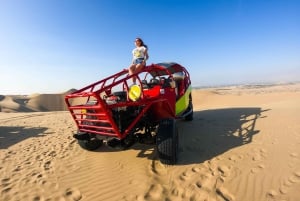 From Lima: Full day Ballestas Islands + Tubing in Huacachina + Sandboarding