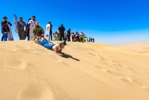 From Lima: Full day Ballestas Islands + Tubing in Huacachina + Sandboarding