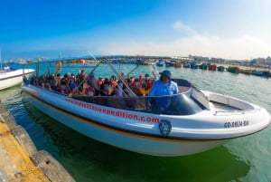 From Lima: Full day Ballestas Islands + Tubing in Huacachina + Sandboarding