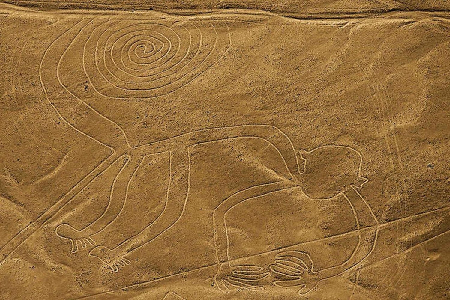 From Lima: Full day flight over in the Nazca Lines