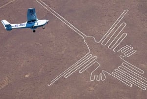 Vanuit Lima: Dagvullende vlucht over de Nazca-lijnen