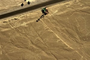 Vanuit Lima: Dagvullende vlucht over de Nazca-lijnen