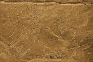 From Lima: Full day flight over in the Nazca Lines