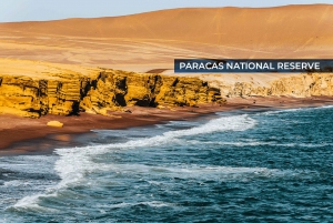 From Lima: Full-Day Paracas and Huacachina Luxury Bus Tour