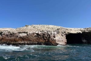LIMASTA KOKO PÄIVÄN PARACAS, ICA JA HUACACHINA