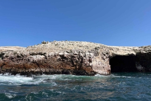 ИЗ ЛИМЫ ПОЛНЫЙ ДЕНЬ ПАРАКАС, ИКА И ХУАКАЧИНА