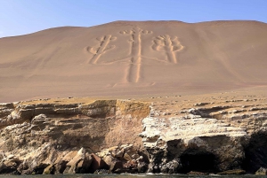 DESDE LIMA: DÍA COMPLETO PARACAS - ICA