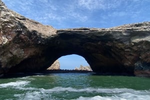 DESDE LIMA: DÍA COMPLETO PARACAS - ICA