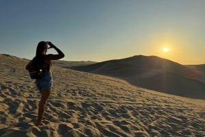 Från Lima: Heldag Privat All Inclusive Paracas, Ica.