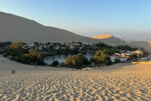 Från Lima: Heldag Privat All Inclusive Paracas, Ica.