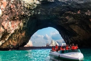 Från Lima: Heldag Privat All Inclusive Paracas, Ica.