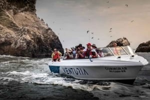 Da Lima: escursione di un giorno a Paracas, Ica e Oasi Huacachina