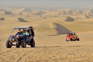 Da Lima: escursione di un giorno a Paracas, Ica e Oasi Huacachina