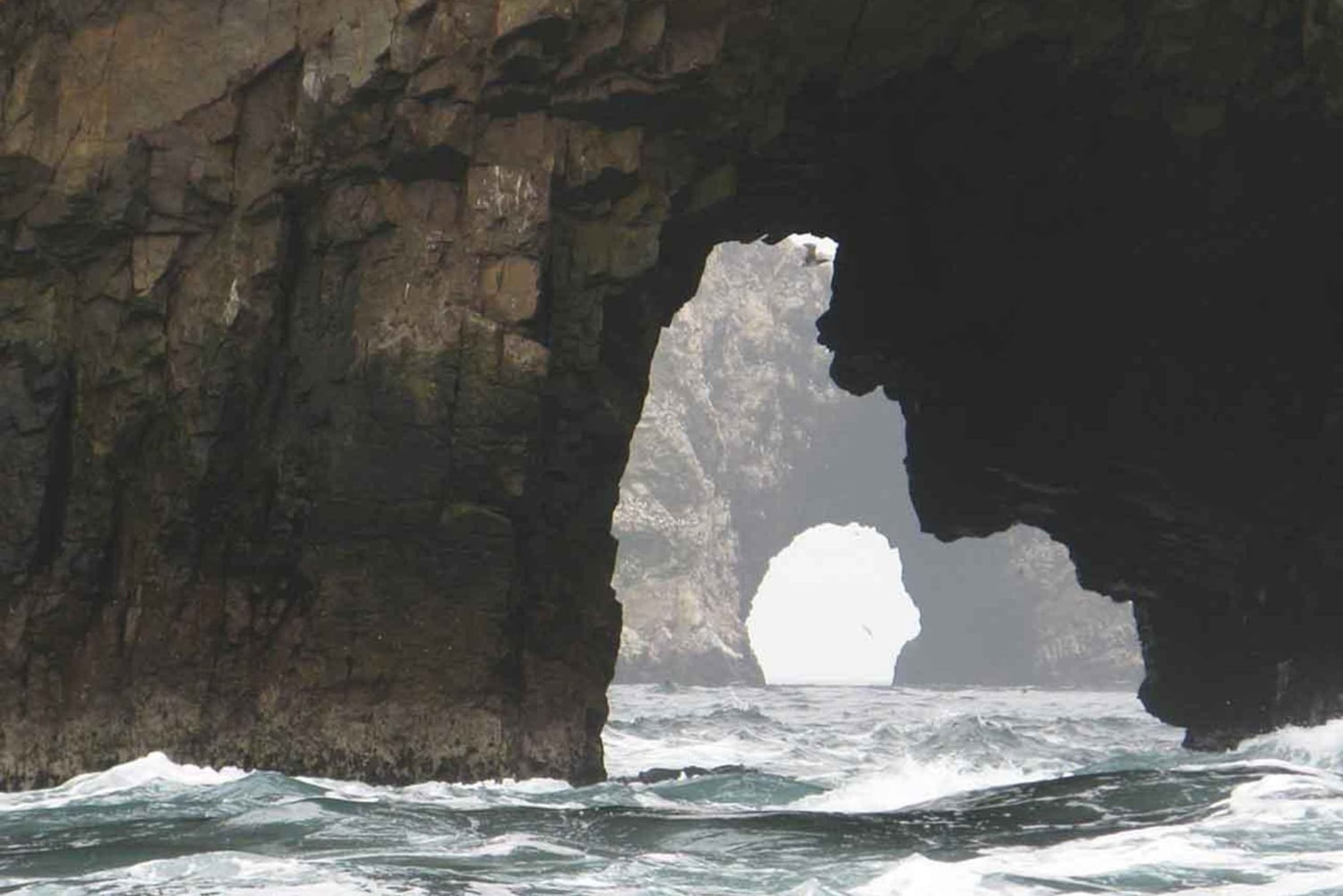 From Lima: Full-Day Tour of Islas Ballestas and Huacachina