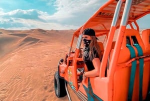 Da Lima: Tour di un giorno intero delle Islas Ballestas e Huacachina