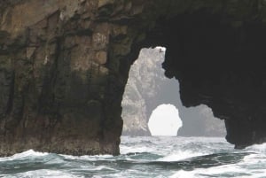 From Lima: Full-Day Tour of Islas Ballestas and Huacachina