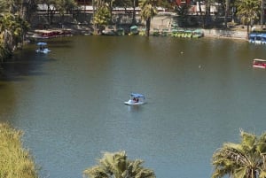 From Lima: Full-Day Tour of Islas Ballestas and Huacachina