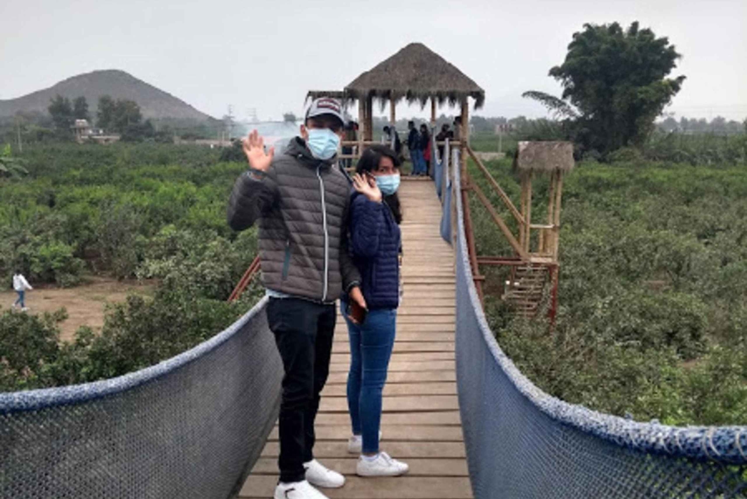 From Lima | Full day tour of the province of Huaral-Chancay